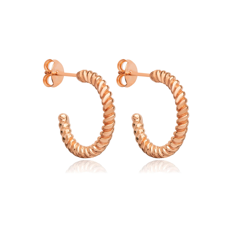 Trendy Croissant Hoop Earrings